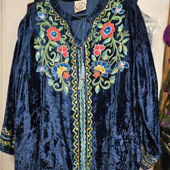 Embroidered Velvet Top with Floral Design - Picture 4 of 11